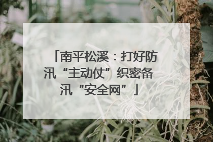 南平松溪：打好防汛“主动仗”织密备汛“安全网”