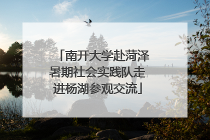 南开大学赴菏泽暑期社会实践队走进杨湖参观交流
