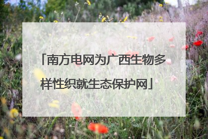 南方电网为广西生物多样性织就生态保护网