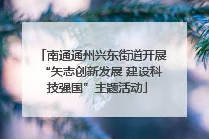 南通通州兴东街道开展“矢志创新发展 建设科技强国”主题活动