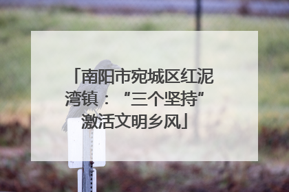 南阳市宛城区红泥湾镇：“三个坚持”激活文明乡风