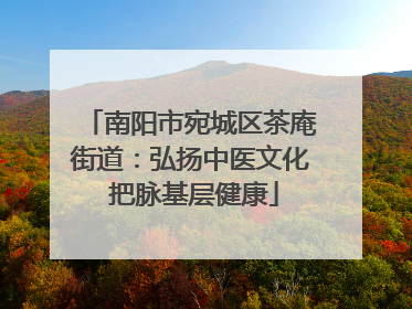 南阳市宛城区茶庵街道：弘扬中医文化 把脉基层健康