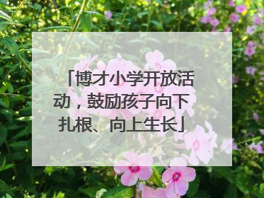 博才小学开放活动，鼓励孩子向下扎根、向上生长