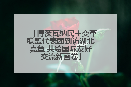 博茨瓦纳民主变革联盟代表团到访湖北嘉鱼 共绘国际友好交流新画卷