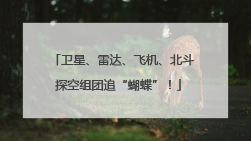 卫星、雷达、飞机、北斗探空组团追“蝴蝶”！