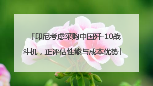 印尼考虑采购中国歼-10战斗机，正评估性能与成本优势