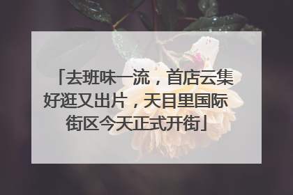 去班味一流，首店云集好逛又出片，天目里国际街区今天正式开街