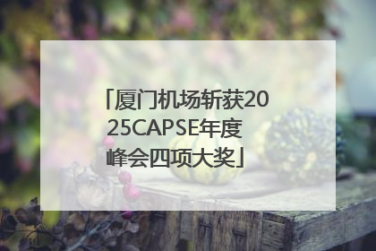 厦门机场斩获2025CAPSE年度峰会四项大奖