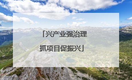 兴产业强治理 抓项目促振兴