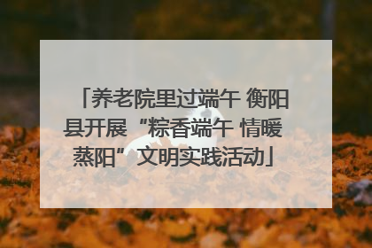 养老院里过端午 衡阳县开展“粽香端午 情暖蒸阳”文明实践活动
