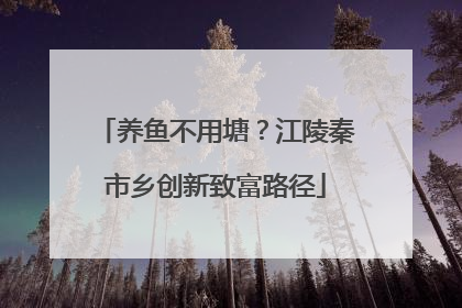 养鱼不用塘？江陵秦市乡创新致富路径