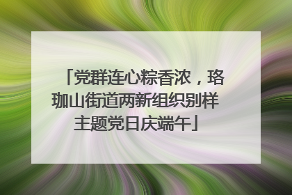 党群连心粽香浓，珞珈山街道两新组织别样主题党日庆端午