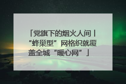 党旗下的烟火人间丨“蜂巢型”网格织就覆盖全城“暖心网”