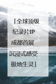 全球顶级纪录片IP成都首展 沉浸式感受极地生灵
