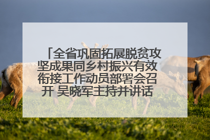 全省巩固拓展脱贫攻坚成果同乡村振兴有效衔接工作动员部署会召开 吴晓军主持并讲话 罗东川作安排部署