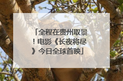 全程在贵州取景！电影《长夜将尽》今日全球首映
