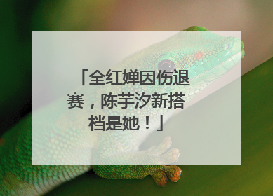 全红婵因伤退赛，陈芋汐新搭档是她！
