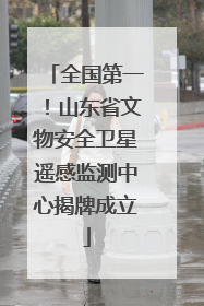 全国第一！山东省文物安全卫星遥感监测中心揭牌成立