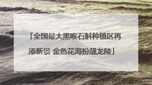 全国最大黑喉石斛种植区再添新景 金色花海扮靓龙陵