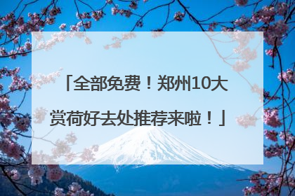 全部免费！郑州10大赏荷好去处推荐来啦！