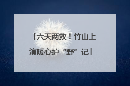 六天两救！竹山上演暖心护“野”记