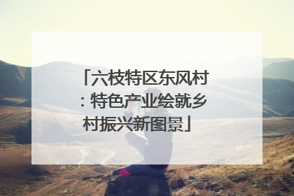 六枝特区东风村：特色产业绘就乡村振兴新图景