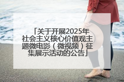 关于开展2025年社会主义核心价值观主题微电影（微视频）征集展示活动的公告