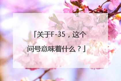 关于F-35，这个问号意味着什么？