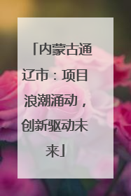 内蒙古通辽市：项目浪潮涌动，创新驱动未来