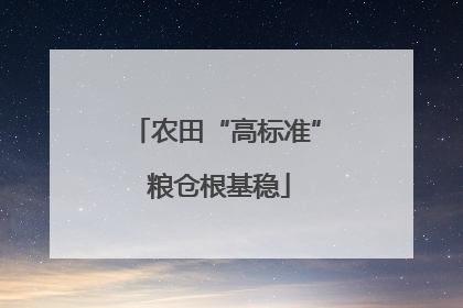 农田“高标准” 粮仓根基稳
