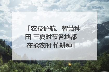 农技护航、智慧种田 三夏时节各地都在抢农时 忙耕种
