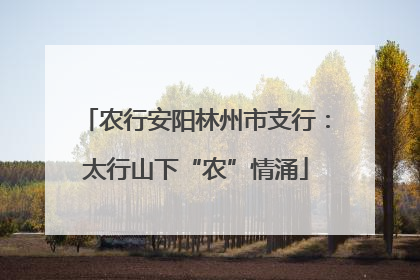 农行安阳林州市支行：太行山下“农”情涌