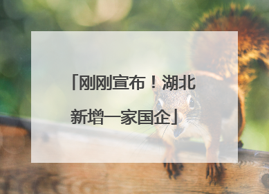 刚刚宣布！湖北新增一家国企