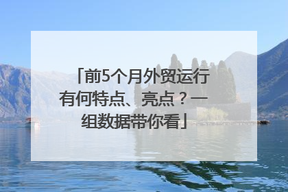 前5个月外贸运行有何特点、亮点？一组数据带你看