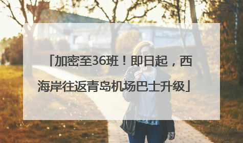 加密至36班！即日起，西海岸往返青岛机场巴士升级