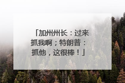 加州州长：过来抓我啊；特朗普：抓他，这很棒！
