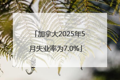加拿大2025年5月失业率为7.0%
