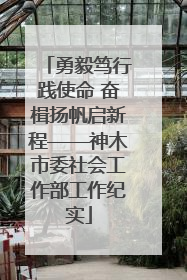 勇毅笃行践使命 奋楫扬帆启新程——神木市委社会工作部工作纪实