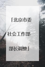 北京市委社会工作部部长调整