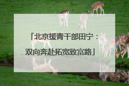 北京援青干部田宁：双向奔赴拓宽致富路