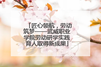 匠心领航，劳动筑梦——武威职业学院劳动研学实践育人取得新成果