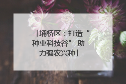 埇桥区：打造“种业科技谷” 助力强农兴种