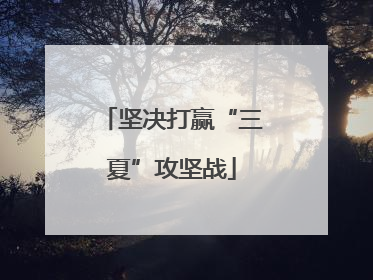 坚决打赢“三夏”攻坚战