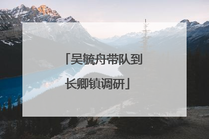 吴毓舟带队到长卿镇调研
