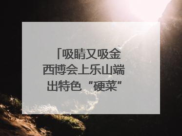 吸睛又吸金 西博会上乐山端出特色“硬菜”｜西博视界