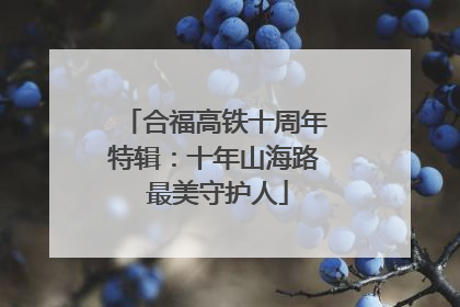 合福高铁十周年特辑：十年山海路 最美守护人