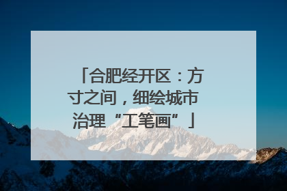 合肥经开区：方寸之间，细绘城市治理“工笔画”