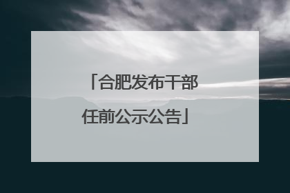 合肥发布干部任前公示公告