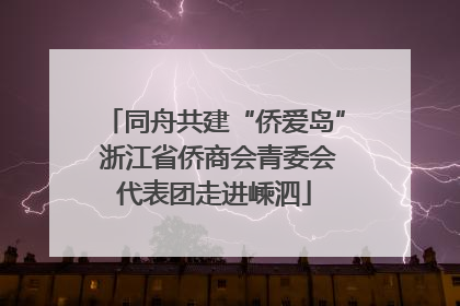 同舟共建“侨爱岛” 浙江省侨商会青委会代表团走进嵊泗