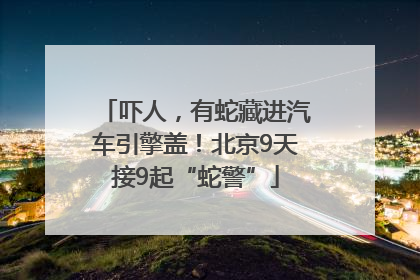 吓人，有蛇藏进汽车引擎盖！北京9天接9起“蛇警”